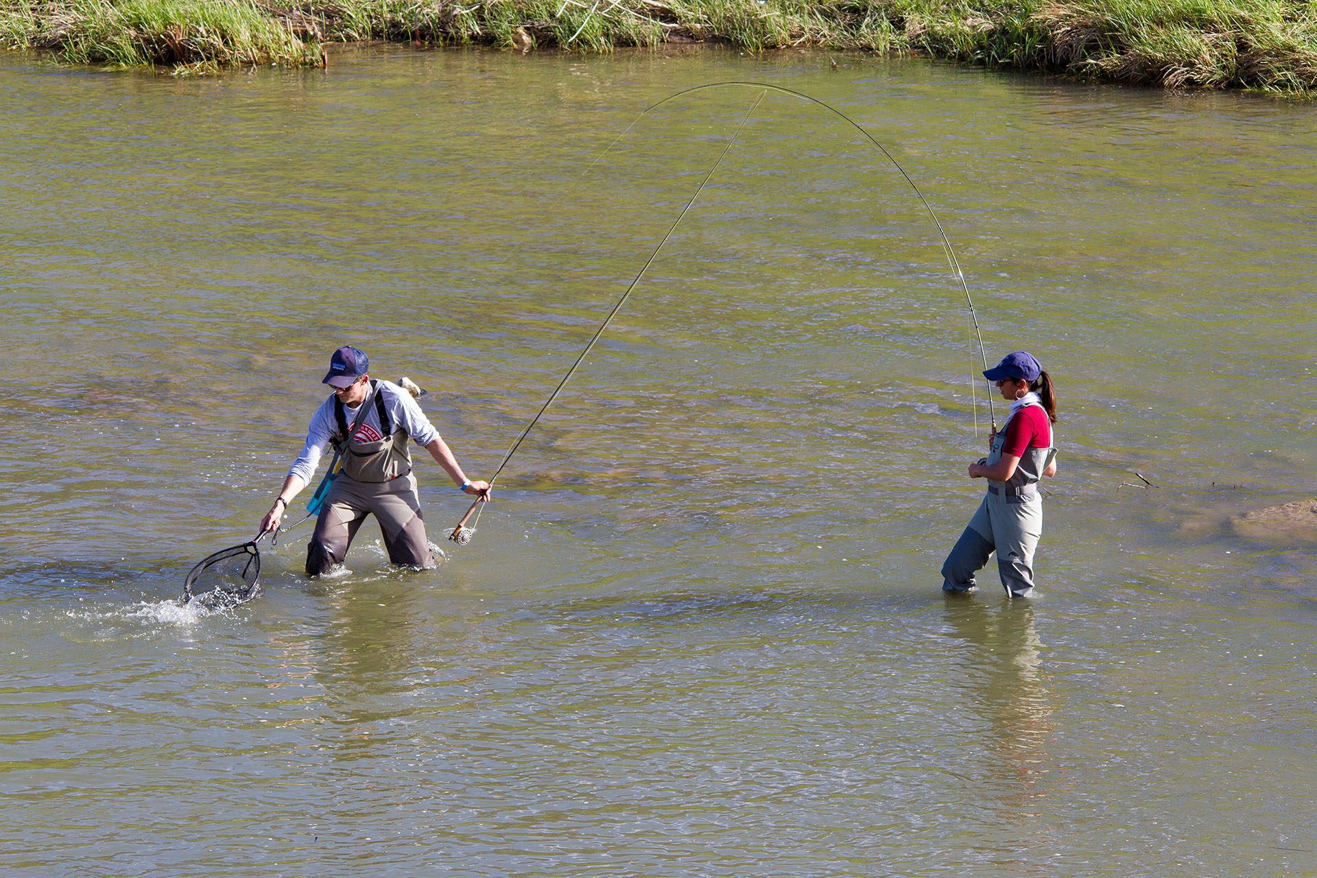 Trout Stocking Dates – Tarrant Regional Water District